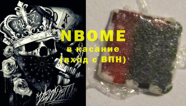 ПСИЛОЦИБИНОВЫЕ ГРИБЫ Гусь-Хрустальный