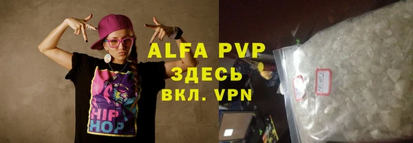 гашик Дмитров