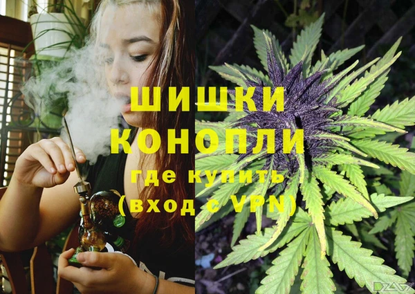 mix Гусиноозёрск