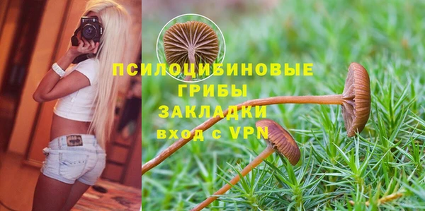 mix Гусиноозёрск
