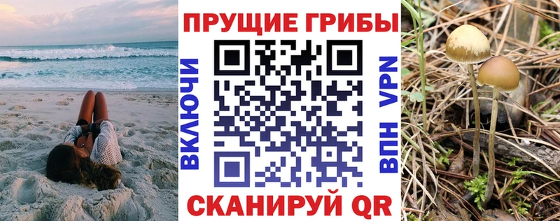 Галлюциногенные грибы Cubensis  купить   Тимашёвск 